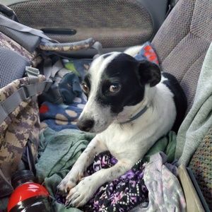 Meet your Posher, Sara